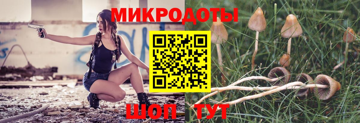 Псилоцибиновые грибы Cubensis Ростов-на-Дону