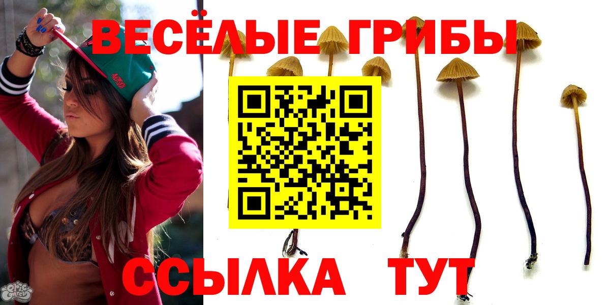 Ростов-на-Дону  Галлюциногенные грибы прущие грибы  Вход с VPN 